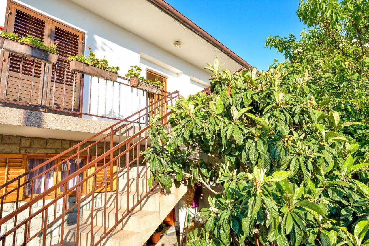 Apartman Jadranka Bibinje Extérieur photo